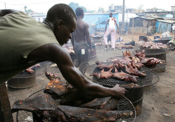 Ebola: Levée des mesures restrictives, mais bien faire cuire la viande avant consommation