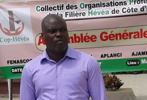 Une association de producteurs de caoutchouc naturel de Côte d’Ivoire voie le jour