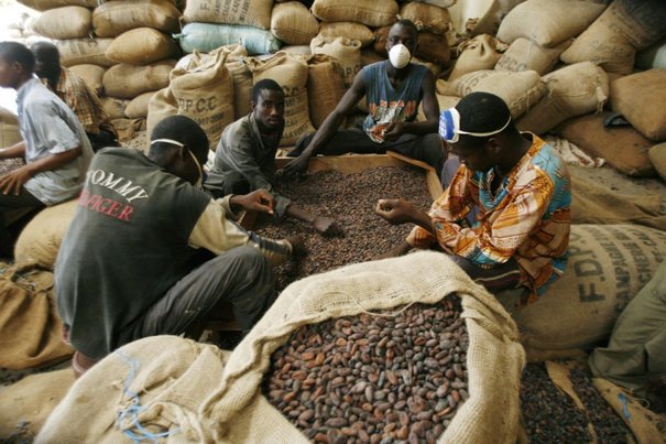 Cacao ivoirien: «accord» en vue d’un prix garanti d’environ 1 000 Fcfa/Kg