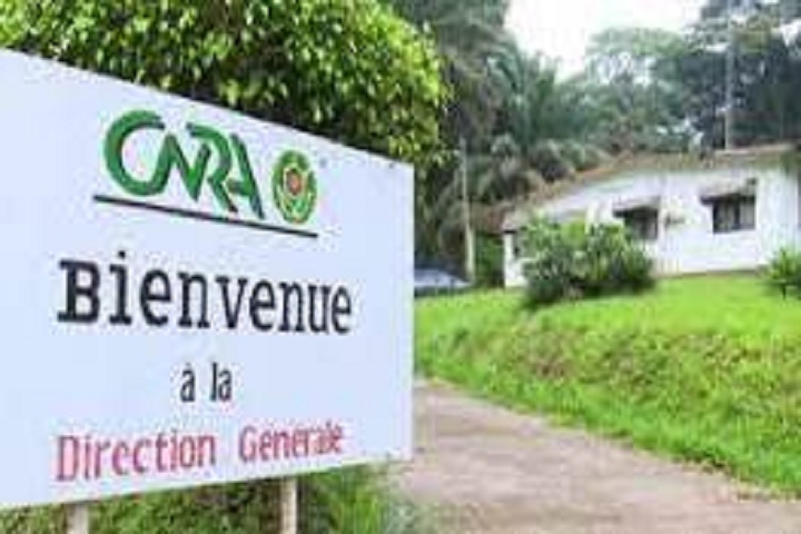 Côte d’Ivoire : le CNRA toujours en attente d’un directeur général