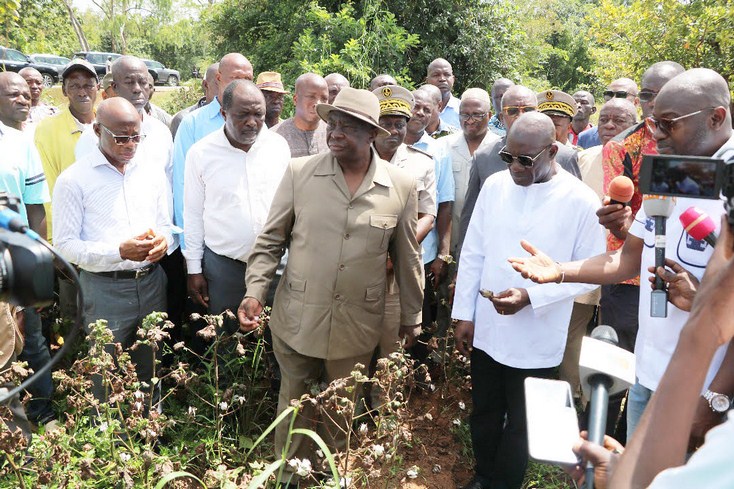 Attaques des Jassides dans le bassin cotonnier : le Ministre Adjoumani visite les parcelles dévastées