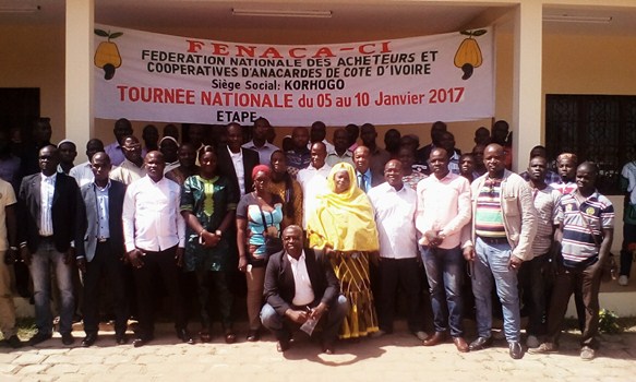 Côte d’Ivoire/ Filière Anacarde : la FENACA-CI  sensibilise les acheteurs de Katiola.