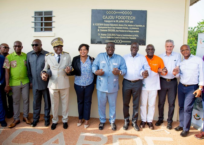 Développement des produits dérivés de l’anacarde : le Conseil du Coton et  de l’Anacarde inaugure son premier incubateur à Yamoussoukro