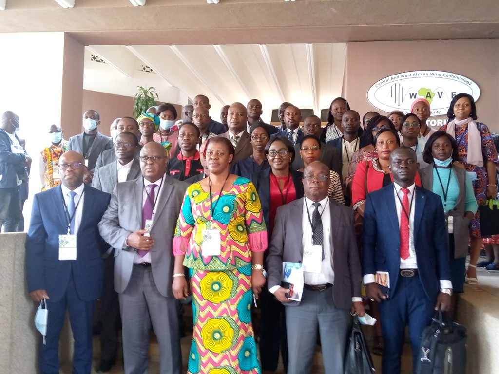 Recherche Scientifique : Les chercheurs ivoiriens anticipent la riposte contre les maladies virales du manioc