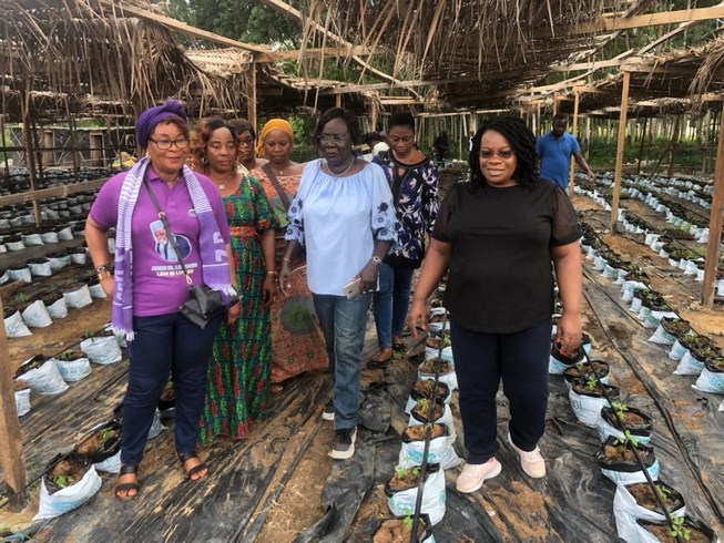 Lutte Contre la vie chère : le CNLVC visite une coopérative vivrière de la commune de Songon