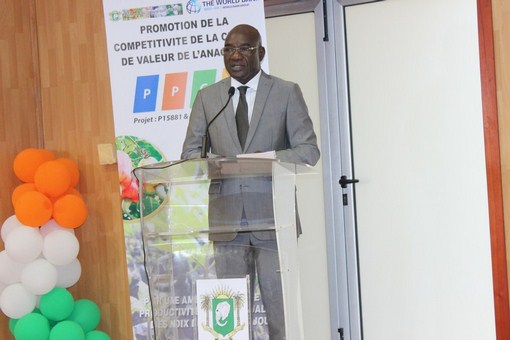 Côte d’Ivoire/ Agriculture : lancement officiel de la Compétitivité de la Chaîne de valeur de l’Anacarde
