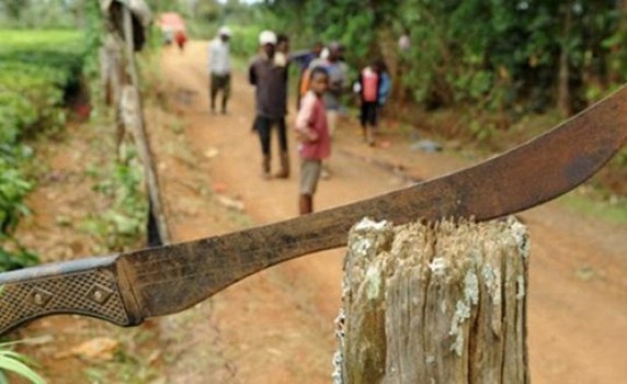 Man: 4 paysans tués à la machette dans le village de Lamapleu