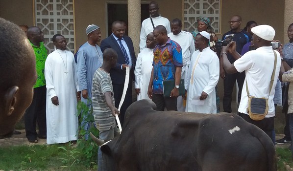 Côte d’ivoire/Actions sociales : Touré Souleymane offre des bœufs aux cantons et aux chrétiens de Bouaké