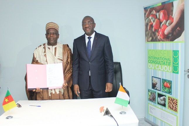 Convention : Le Cameroun signe son adhésion au Conseil International Consultatif du Cajou (CICC)