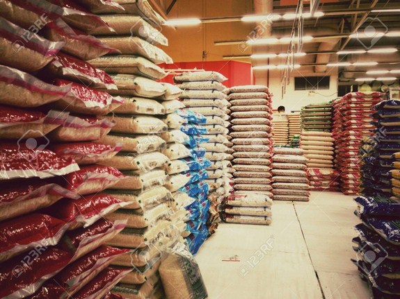 Approvisionnement du marché local en riz : La Côte d’Ivoire injecte 250 milliards de Fcfa par an dans les importations