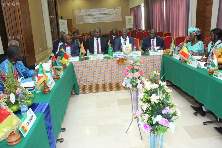 48ème session ordinaire de  l’EISMV: Les ministres examinent les résolutions des experts à Abidjan