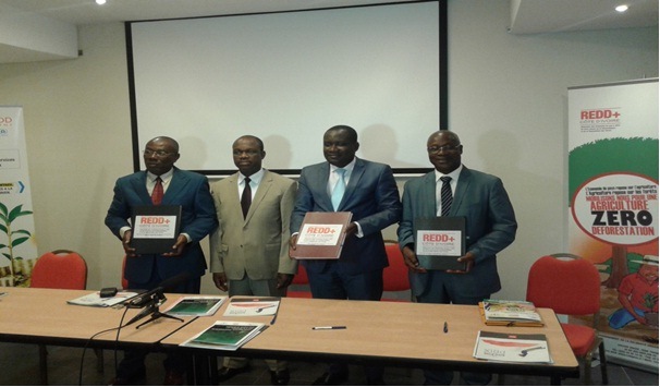 Côte d'Ivoire: le REDD+ s’engage pour la réduction de gaz a effet de serre