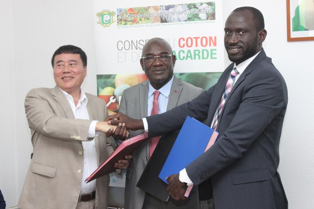 Conseil Coton Anacarde : Signature de contrat pour l’achat de 200 000 tonnes de Noix de Cajou Origine Côte d’ivoire